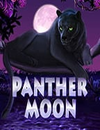 เข้าถึงเกมสล็อตคุ้มค่าสุด กับการดาวน์ slotxo